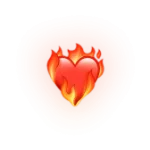 Icon (1)